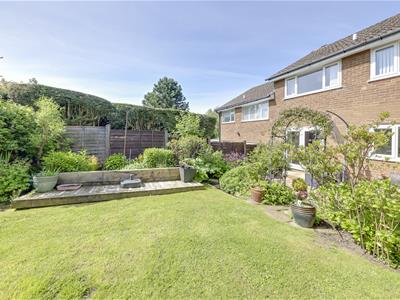 Picture 29